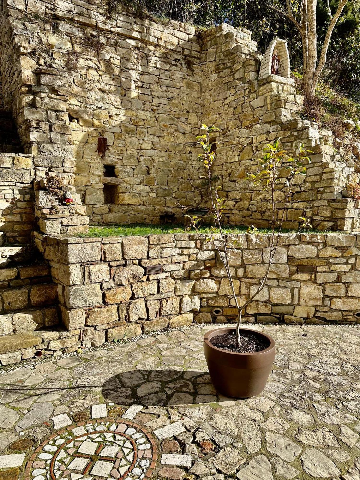 Country B&B Piani Del Mattino โปเตนซา ภายนอก รูปภาพ